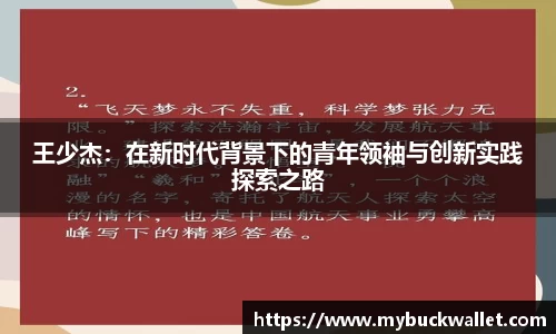 王少杰：在新时代背景下的青年领袖与创新实践探索之路